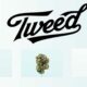 Tweed in Deutschland