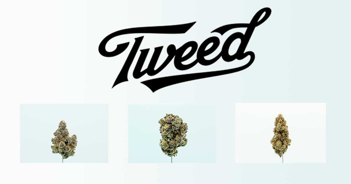 Tweed in Deutschland