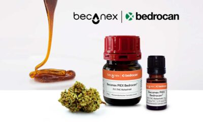 Bedrocan Cannabis-Konzentrat