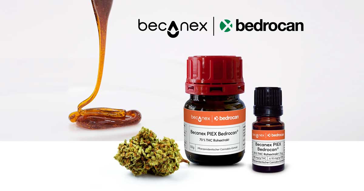 Bedrocan Cannabis-Konzentrat