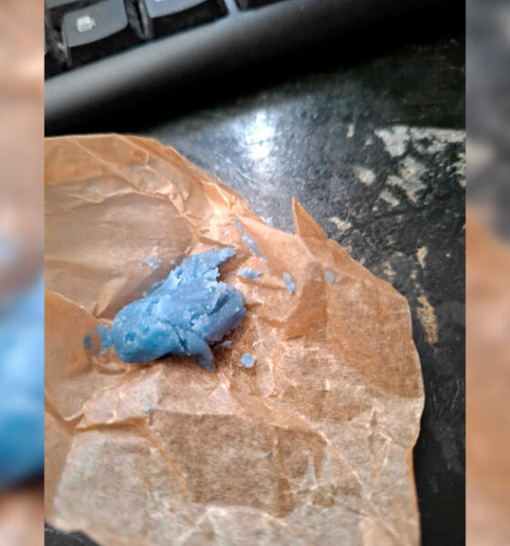 Blaues Hasch im PINACA