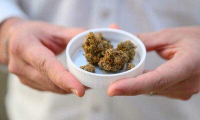 Import von medizinischem Cannabis in Deutschland