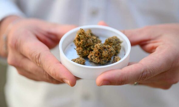 Import von medizinischem Cannabis in Deutschland