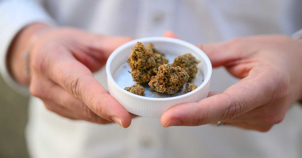Import von medizinischem Cannabis in Deutschland