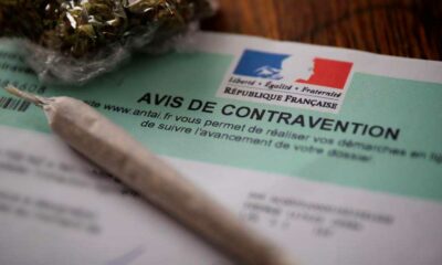Geldstrafe wegen Cannabisbesitzes in Höhe von 500 €