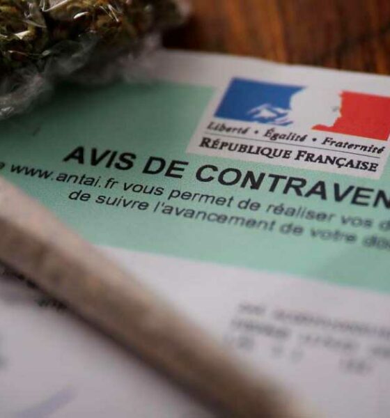 Geldstrafe wegen Cannabisbesitzes in Höhe von 500 €