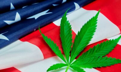 Beginn der Anhörungen der DEA zur Neueinstufung von Cannabis