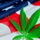 Beginn der Anhörungen der DEA zur Neueinstufung von Cannabis