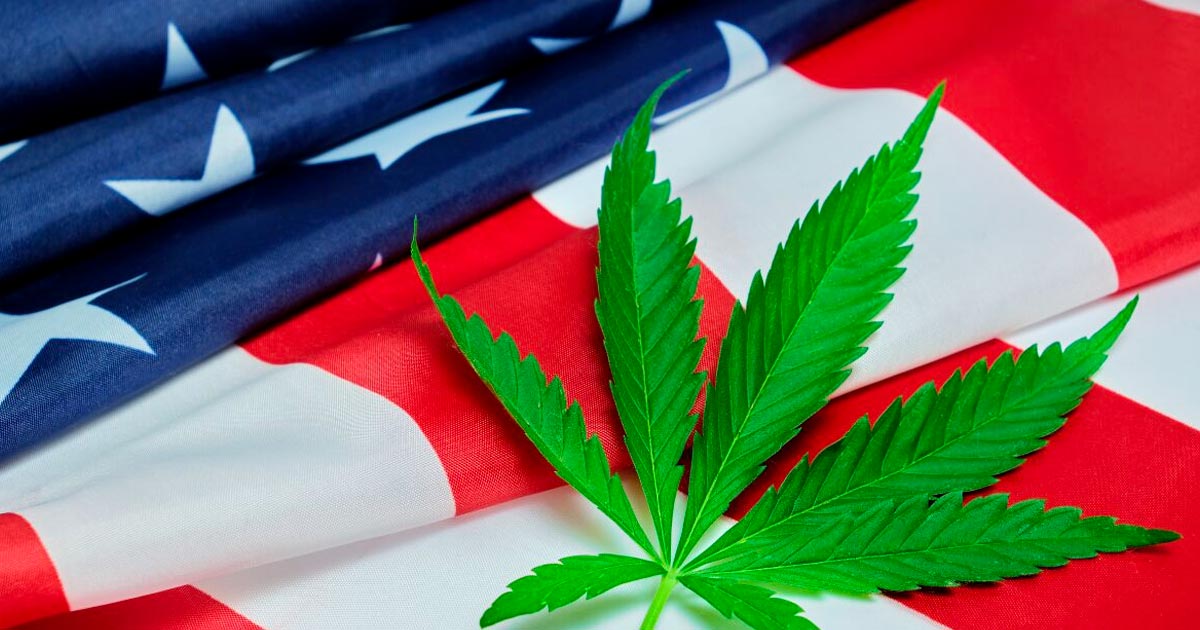 Beginn der Anhörungen der DEA zur Neueinstufung von Cannabis