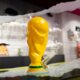 Weltmeisterschaft 2026 und Cannabis