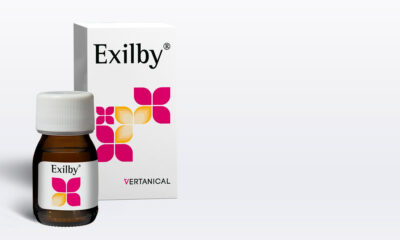 „L'Exil“ von Vertanical