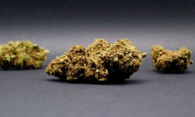 CBD-Blüten in Italien