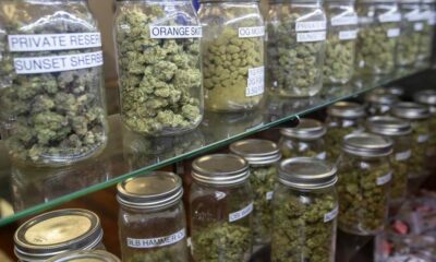 Steuer auf illegale Cannabis-Ausgabestellen in Los Angeles