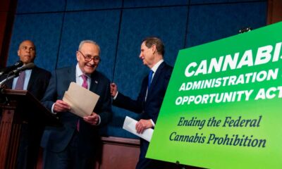 Vorhaben zur Legalisierung von Cannabis in den Vereinigten Staaten