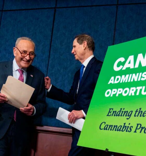 Vorhaben zur Legalisierung von Cannabis in den Vereinigten Staaten
