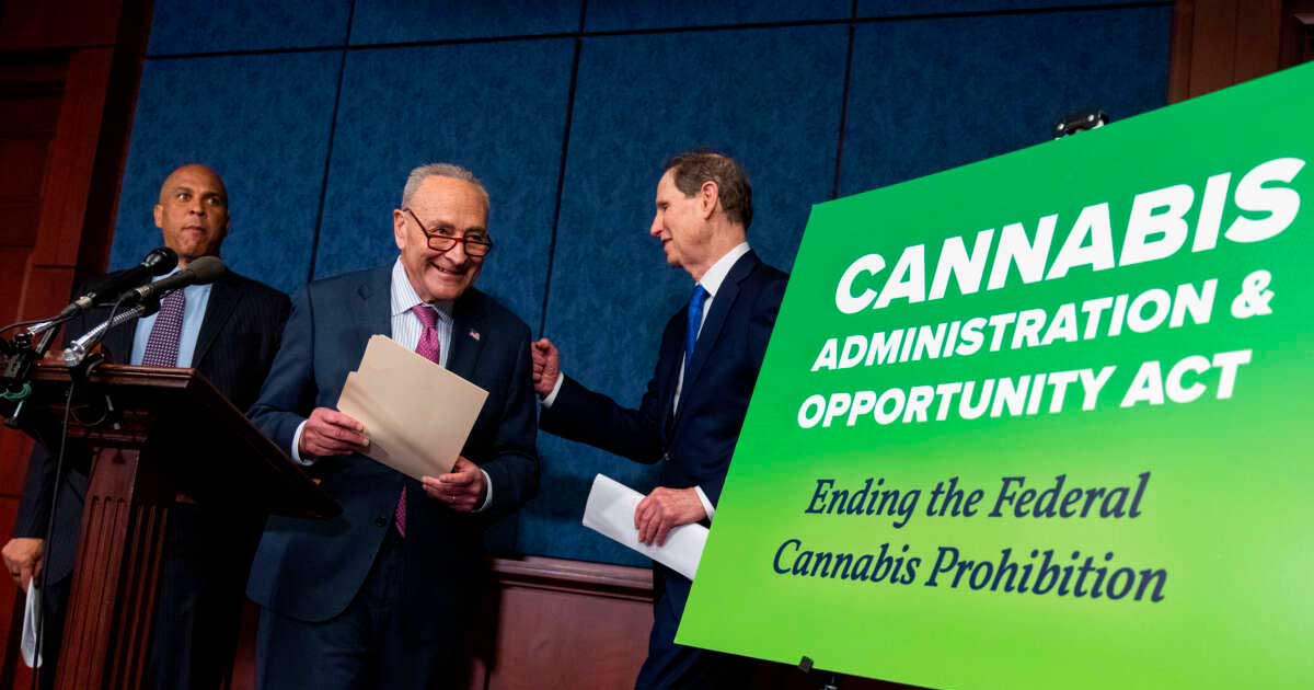 Vorhaben zur Legalisierung von Cannabis in den Vereinigten Staaten