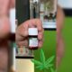 Verschreibung von medizinischem Cannabis in der Ukraine