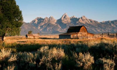 Wyoming lehnt die Neueinstufung von Cannabis ab