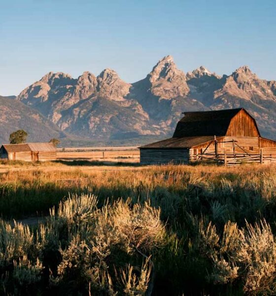 Wyoming lehnt die Neueinstufung von Cannabis ab