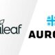 Curaleaf kündigt ein Übernahmeangebot für Aurora an