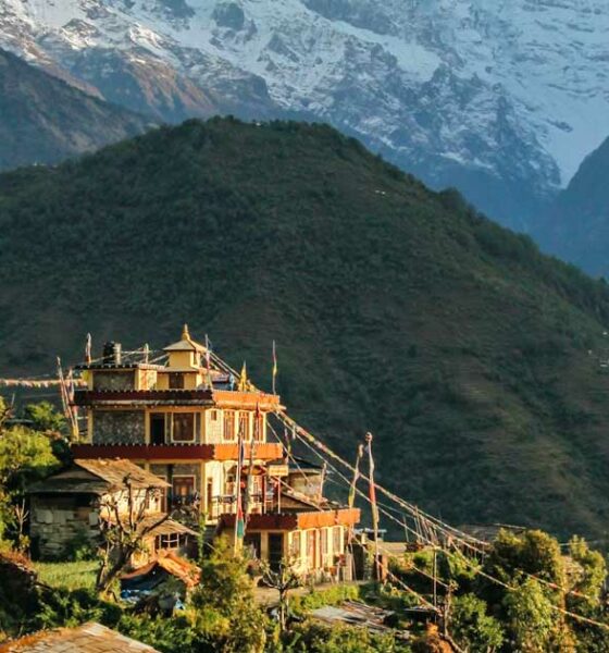 Legalisierung von medizinischem Cannabis in Nepal