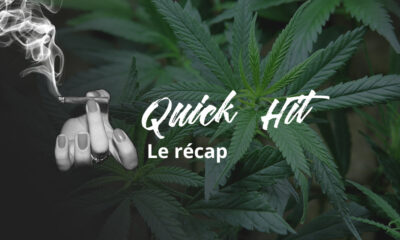 Quick Hit vom August 2020
