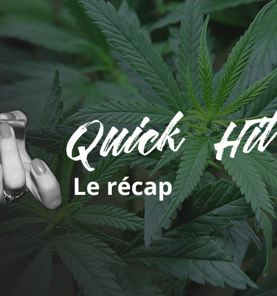 Quick Hit vom August 2020