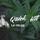 Quick Hit vom August 2020