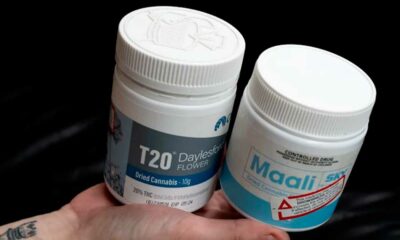 Explosiver Anstieg der Verschreibungen von medizinischem Cannabis in Australien