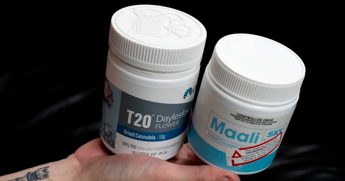 Explosiver Anstieg der Verschreibungen von medizinischem Cannabis in Australien