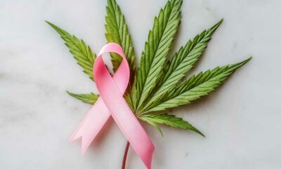 Brustkrebs und Cannabis