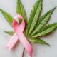 Brustkrebs und Cannabis