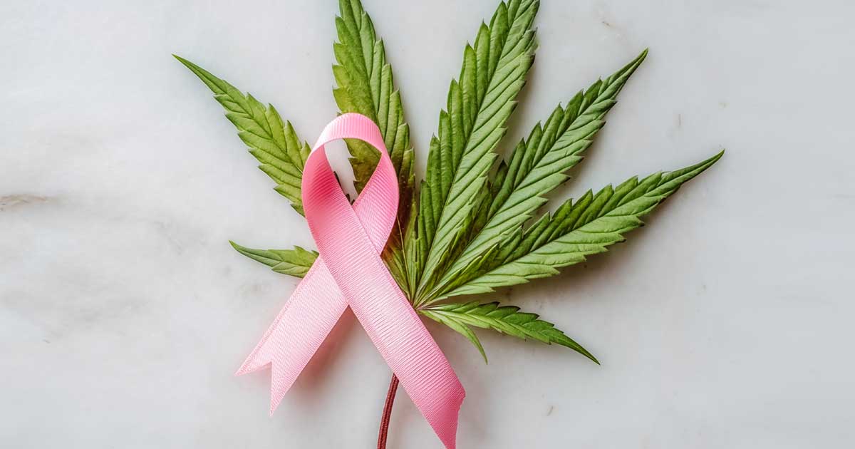 Brustkrebs und Cannabis