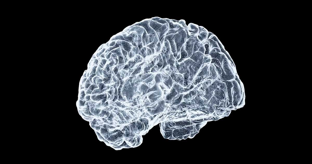 CBN und Alzheimer