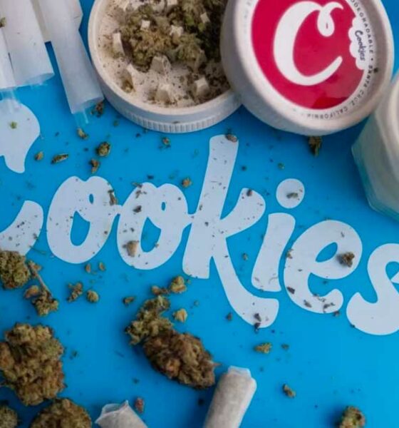 Cookies mit einer Geldstrafe belegt
