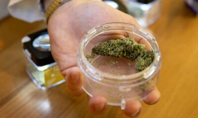 Abgabe von Cannabis in Apotheken in der Schweiz