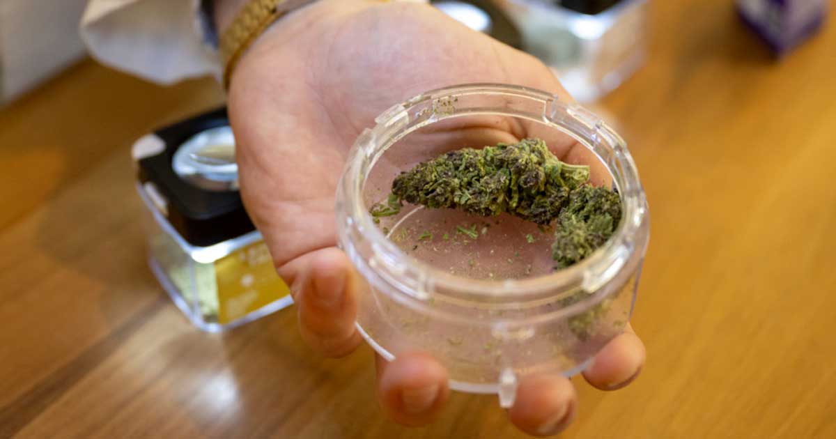 Abgabe von Cannabis in Apotheken in der Schweiz
