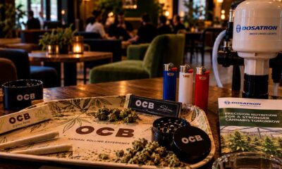 Französische Cannabisunternehmen im Ausland