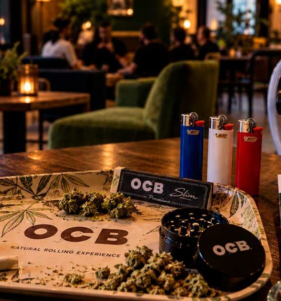 Französische Cannabisunternehmen im Ausland