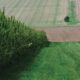 Export von Industriehanf aus Frankreich