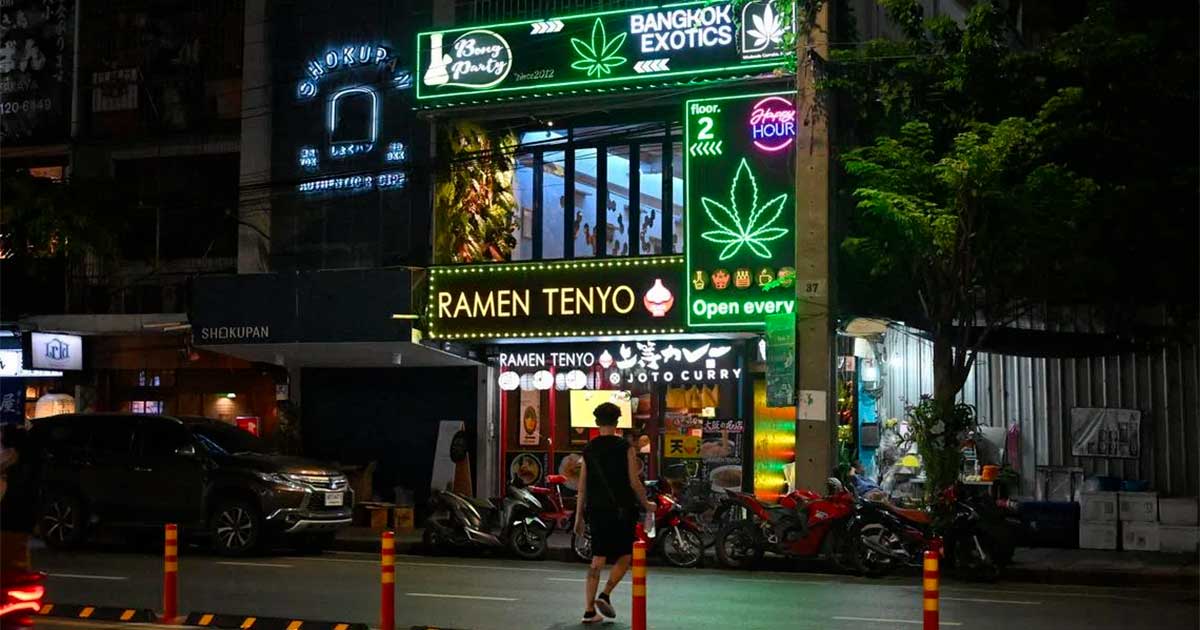 Thailand setzt auf medizinisches Cannabis