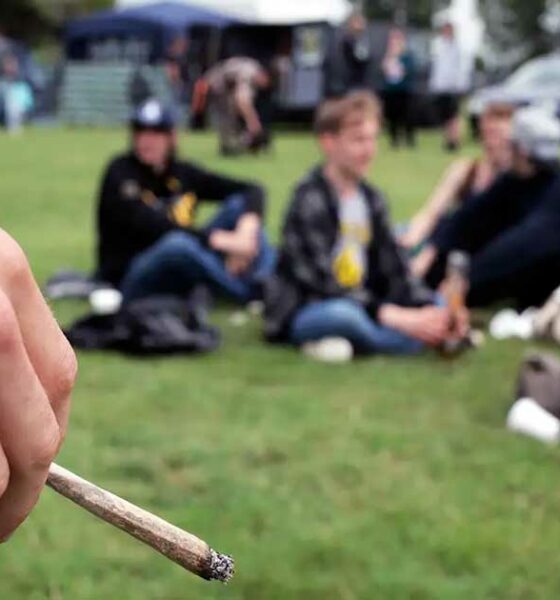 Cannabiskonsum bei Jugendlichen in den Vereinigten Staaten