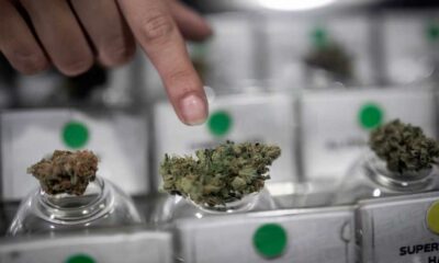 Cannabis-Club in Chile