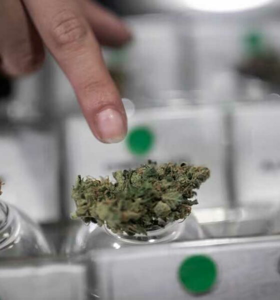 Cannabis-Club in Chile