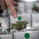 Cannabis-Club in Chile