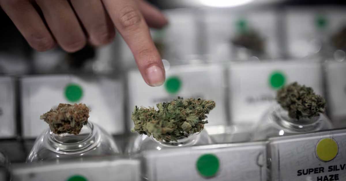 Cannabis-Club in Chile