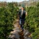 Gesetz über medizinisches Cannabis in Chubut (Argentinien)