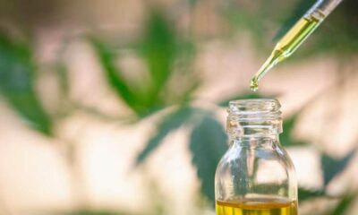 EFSA und synthetisches CBD