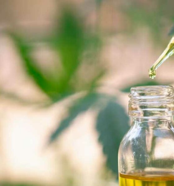 EFSA und synthetisches CBD