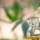 EFSA und synthetisches CBD